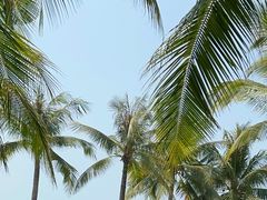 -三亚西岛海洋文化旅游区