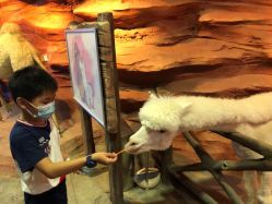 -酷嗒动物文化乐园(cutezoo西溪乐天城店)