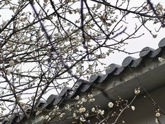 -南京市江宁方山