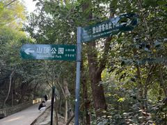 -紫金山山顶公园
