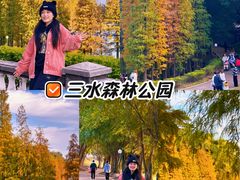 -三水森林公园