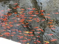 -水磨沟公园