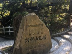 -神户市立六甲山牧场