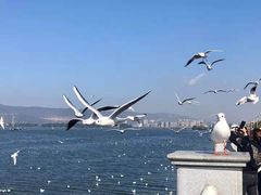 -青岛第二海水浴场