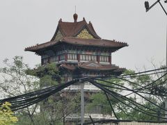 -0317火锅鸡·清真(正达店)