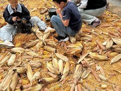 -北戴河集发农业梦想王国