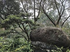 -南山植物园
