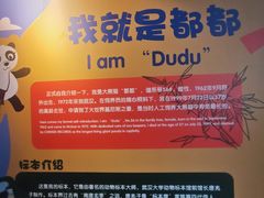 -武汉动物园