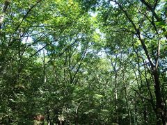 -玉渡山自然风景区