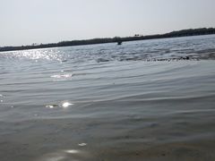-丁香湖公园