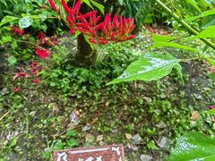 -杭州植物园