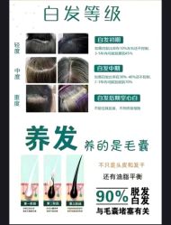 -Bollins波林丝•专研护发中心