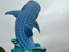 -珠海长隆海洋王国