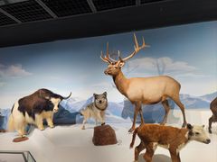 -陕西自然博物馆