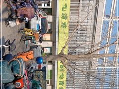 -仙踪林(北展店)