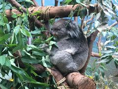 -阿甘虾餐厅(凌霄阁店)