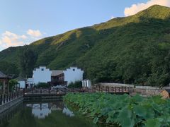-荷塘味道(水长城店)