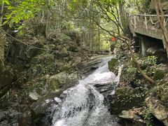 -藏龙百瀑风景区