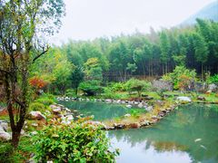-明月山风景名胜区