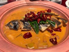 -柿合缘新京菜(国金中心商场店)