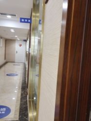 -碧莲盛·不剃发植发