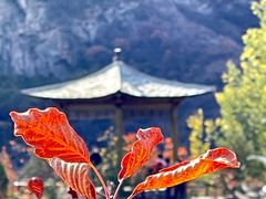-周口店坡峰岭风景区
