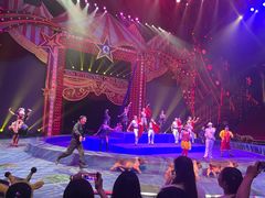 -珠海横琴长隆《卡卡虎奇遇记》