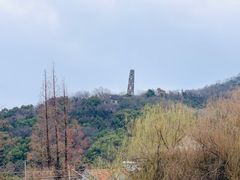 -上海佘山国家森林公园天马山园