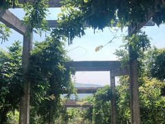 -缥缈峰景区