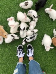 -萌宠亲子动物乐园(槐房万达店)