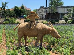 -静之湖湖畔餐厅