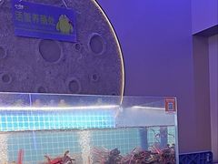-徐记小怪兽肉蟹煲店(哈西万达金街店)