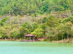 -广州白江湖森林公园