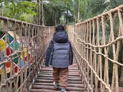 -呀路古热带植物园
