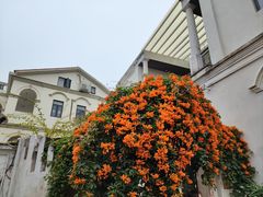-厦门邮轮中心厦鼓码头(轮渡站)