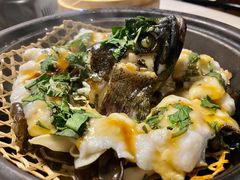 九层塔焗龙胆石斑-林四喜·闽南传家菜(鼓浪屿店)