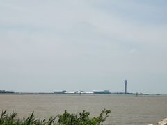 -上海滨江森林公园