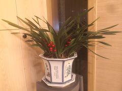 -麦悠悠·SPA·推拿(太阳山路店)