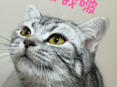 -德元·美联众合24小时动物医院(总院)