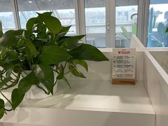 -白鲸自习室(公主坟店)