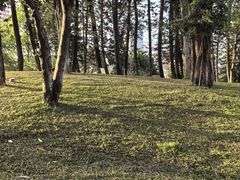 -四海公园(南山区)