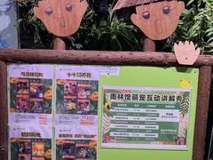 -正佳雨林生态植物园