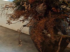 -自由生长植物工作室(深港花卉中心店)