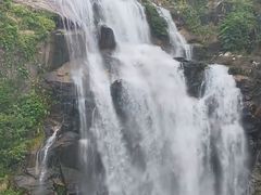-海南热带雨林国家公园吊罗山景区