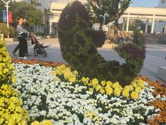 -上海大学(宝山校区)