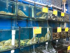 -蚝专家(北滘店)