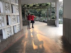 水榭长廊-复兴公园