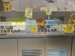 -张小熊连锁轻医美