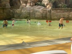 -杭州开元森泊度假乐园