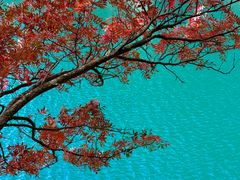 -叠溪松坪沟景区